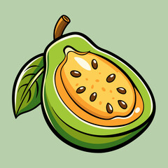 vector illustration of a sapote
