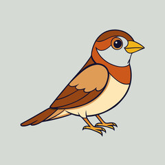 vector illustration of a sparrow bird