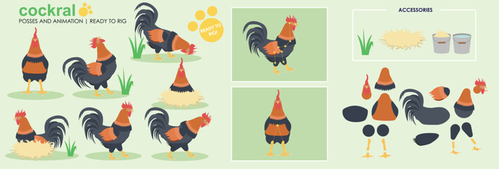 Rooster character, poultry chicken cockerel ready to animate and rig cartoon vector
