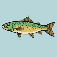 vector illustration of a trout fish