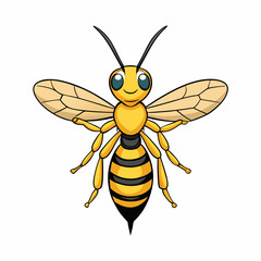 wasp on white background