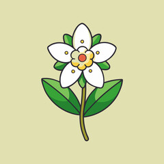 waxflower vector illustration