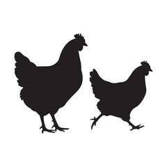  Hen vector icon on white background Art & Illustration. chicken vector, hen vector, poultry vector.