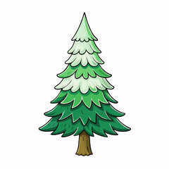 christmas tree on white pine