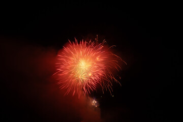 Fototapeta premium Fireworks at the national holiday in Vaduz in Liechtenstein