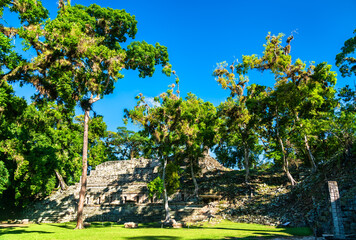 Temple 11 at West Court of Acropolis of Maya Archaeological Site of Copan. UNESCO world heritage in Honduras