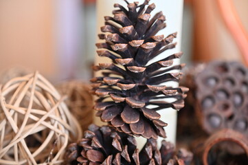 Pine Cone Decoration