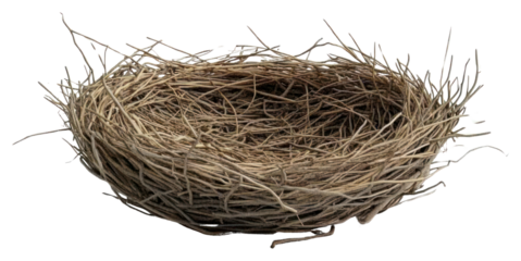 PNG Nest empty bird intricate.
