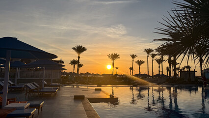 Scenic Sunset at Tropical Resort Poolside with Palm Trees and Clear Sky