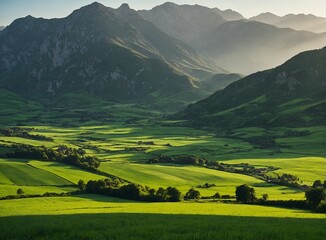 Fototapeta premium Paisagem de campo aberto com montanhas ao fundoLandscape of open field with mountains in the background