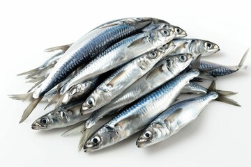 Fresh mackerel fish on white background