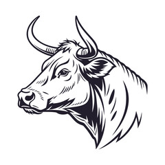 Two Holstein-Friesian cows in field, England