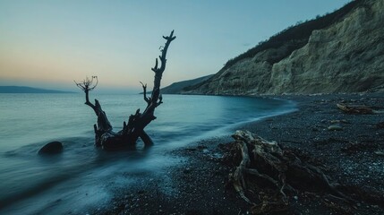 Coastal Driftwood Silhouette at Dusk