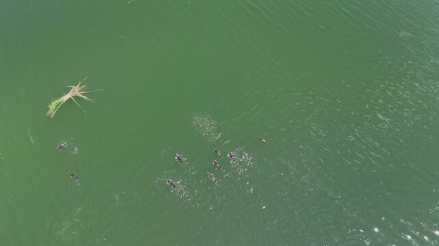 Aerial scenes of the Pchelina Dam reservoir during daytime near Pchelina village, Razgrad, Bulgaria