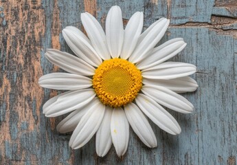 Obraz premium A white flower with yellow center is on a wooden surface