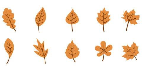 Organic Autumn Leaf Elements