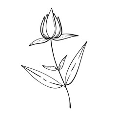 Obraz premium handdrawn aesthetic leaf