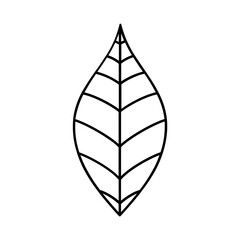 icon leaf