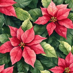 Vibrant Poinsettia Leaves and Flowers in High Definition