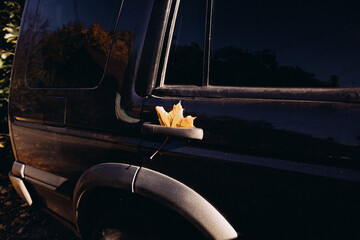 fallen leaves on the car; fall