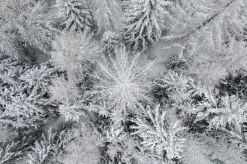 Winter season