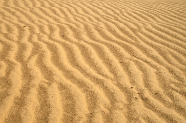 Sand in desert after rain closeup