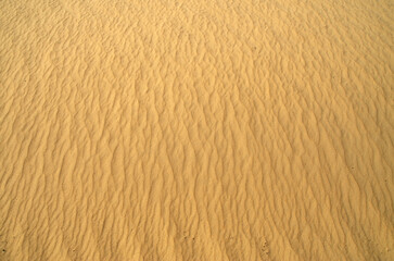 Sand in desert after rain closeup