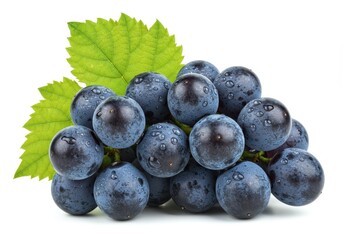 A fresh bunch of dark blue grapes with dewdrops and a vine leaf isolated on white background