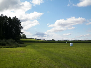 Harvest bales on a green field. End of the summer.