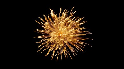 Vibrant Golden Firework Explosion on a Dark Background