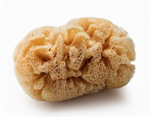 sponge isolated on white