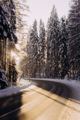 road in the winter forest