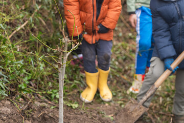 Children participating in a tree planting activity outdoors