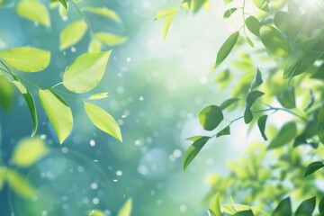 Obraz premium Nature of green leaf in garden at summer. Natural green leaves plants using as spring background. High definition photo