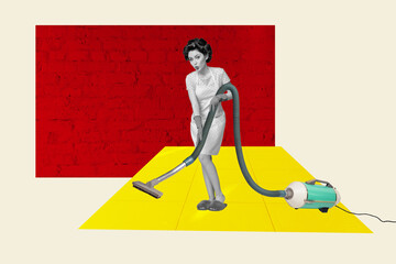 Photo cartoon comics sketch collage of astonished girl pouted lips hold vacuum cleaner tool wipe...