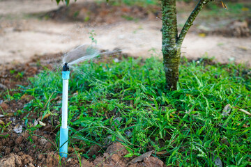 Water sprayer in farm. watering lawn, sprinkler systems, garden irrigation, watering in the...