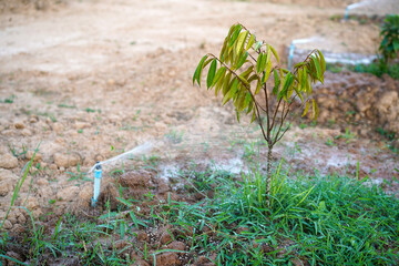 Water sprayer in farm. watering lawn, sprinkler systems, garden irrigation, watering in the backyard with blurred water on the background.