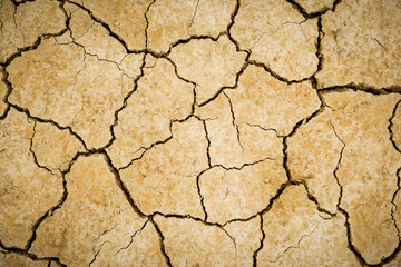 Ground cracked by lack of water