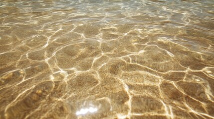 Clear shallow water over sandy seabed with sunlight reflections.