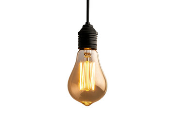 Isolated Vintage Style Light Bulb