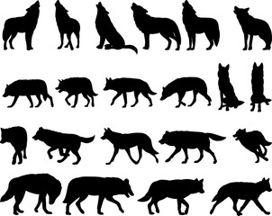 silhouette wolves in different poses set, collection on white background vector