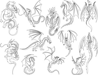 outline set dragon on white background sketch