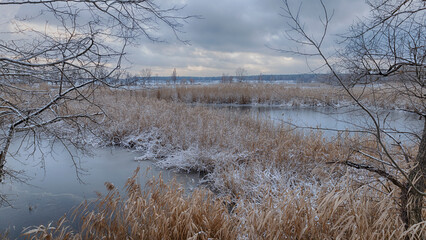 Winter snowy landscape, snow on branches, river under ice