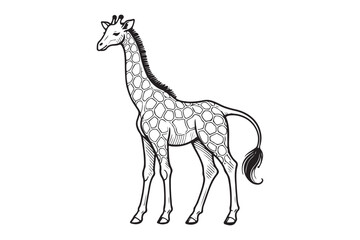 Giraffe Line drawing