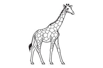 Giraffe Line drawing