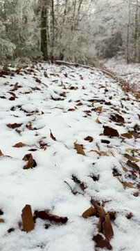 Frosty winter walk to Tomasovsky view, the rock protuberance providing wonderful views in National Park of Slovensky raj, Slovakia

