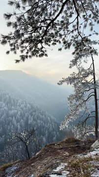 Frosty winter walk to Tomasovsky view, the rock protuberance providing wonderful views in National Park of Slovensky raj, Slovakia
