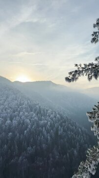 Frosty winter walk to Tomasovsky view, the rock protuberance providing wonderful views in National Park of Slovensky raj, Slovakia
