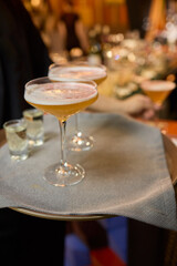 Experience Elegant Cocktails Served on a Beautifully Arranged Tray for every occasion