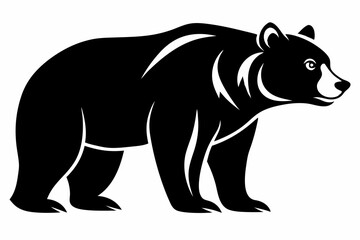 illustration of a bear